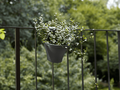 Stewart Garden Planters & Pots Stewarts Urban Balcony Hanging Pot Anthracite - 3L