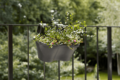 Stewart Garden Planters & Pots Stewarts Urban Balcony Hanging Pot Anthracite - 6.5L
