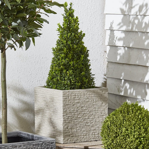 Strata Products Planters & Pots Strata Slate Effect Planter Square Stone 32cm
