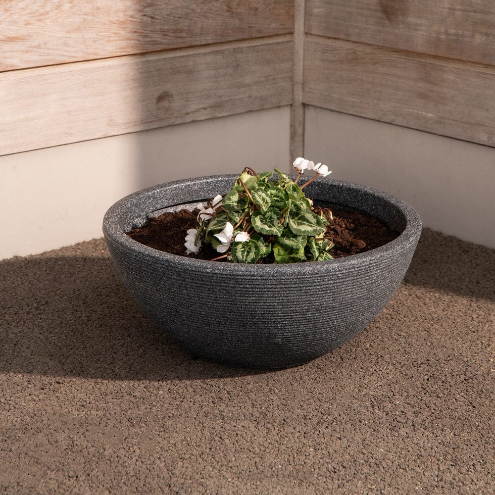 Strata Small Valencia Bowl Planter – Trowell Garden Centre