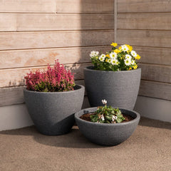 Strata Products Pots & Planters Strata Small Valencia Bowl Planter