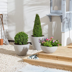 Strata Products Pots & Planters Strata Small Valencia Bowl Planter