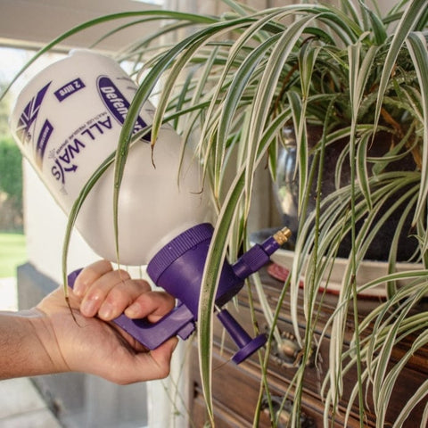 STV All Ways Multipurpose Pressure Sprayer 2L