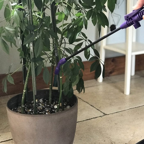 STV Pressure Sprayer STV Multi Purpose Pressure Sprayer With Lance 2L