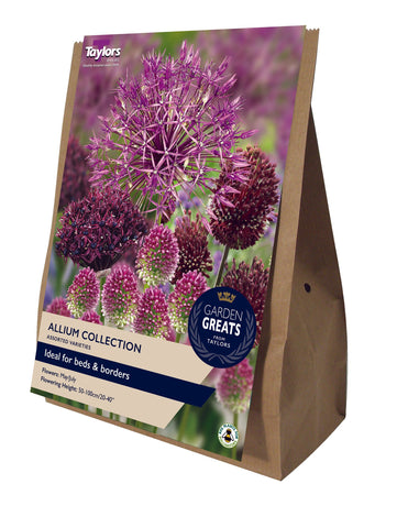 Taylors Taylors Allium Taylors Allium Collection