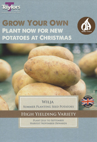 Taylors Seed Potatoes Taylors Autumn seed potatoes Wilja