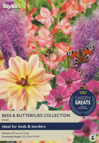 Taylors Flower Bulbs Taylors Bees & Butterflies
