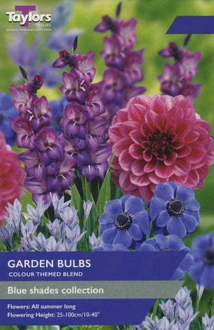 Taylors Flower Bulbs Taylors Blue Shades