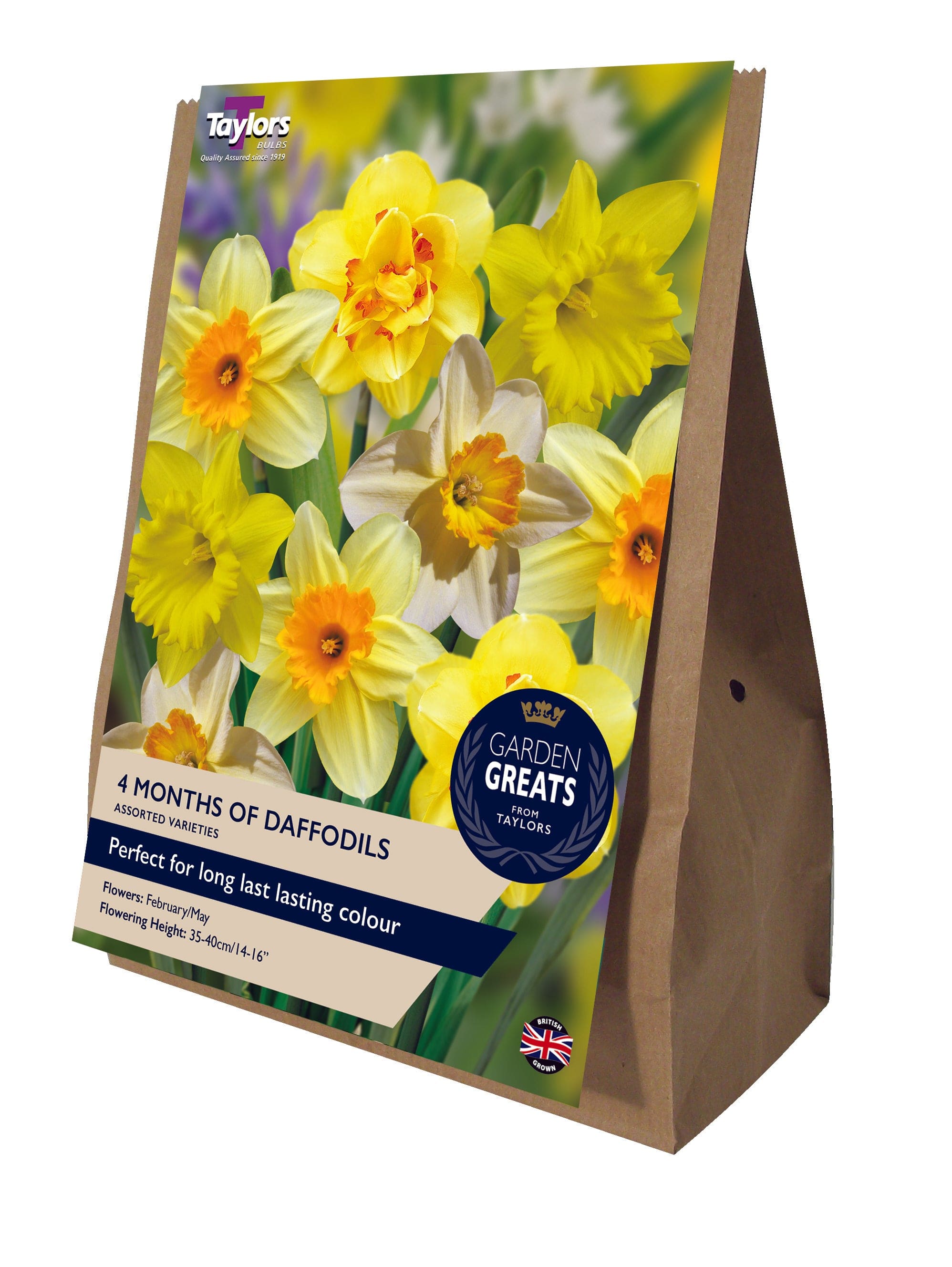 Taylors Flower Bulbs Taylors Bulbs 4 months of Daffodils Collection 30 pack