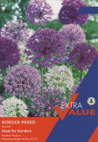 Taylors Taylors Allium Taylors Bulbs Allium Border Mix 12 Pack