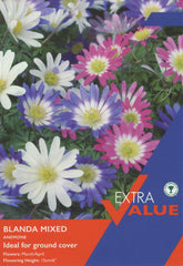 Taylors Taylors Anemone Taylors Bulbs Anemone Blanda Mixed pack of 60