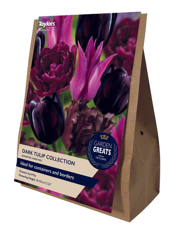 Taylors Taylors Tulips Taylors Bulbs Dark Tulip Collection 30 pack
