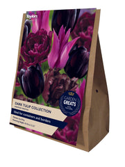 Taylors Taylors Tulips Taylors Bulbs Dark Tulip Collection 30 pack