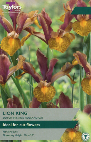 Taylors Taylors Iris Taylors Bulbs Iris Lion King 8 Pack