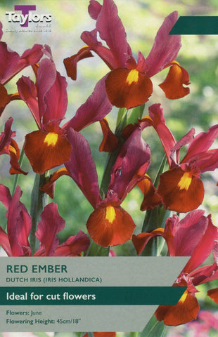 Taylors Taylors Iris Taylors Bulbs Iris Red Ember 8 Pack