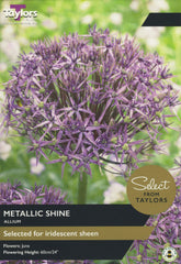 Taylors Flower Bulbs Taylors Bulbs Metallic Shine 5 Pack