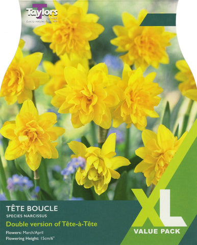 Taylors Taylors Narcissi Taylors Bulbs Narcissi Tete Boucle 15 pack
