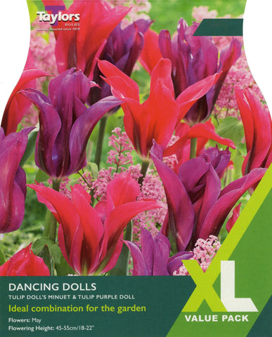 Taylors Taylors Tulips Taylors Bulbs Tulip Dancing Dolls 25 pack