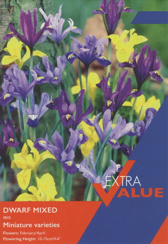 Taylors Taylors Tulips Taylors Bulbs Tulip Dwarf mixed 20 pack