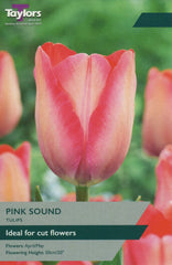 Taylors Taylors Tulips Taylors Bulbs Tulip Pink Sound 9 pack