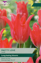 Taylors Taylors Tulips Taylors Bulbs Tulip Pretty Love 8 pack