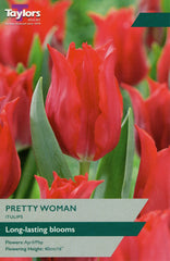 Taylors Taylors Tulips Taylors Bulbs Tulip Pretty Woman 8 pack