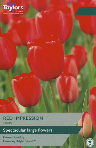 Taylors Taylors Tulips Taylors Bulbs Tulip Red Impression 7 pack
