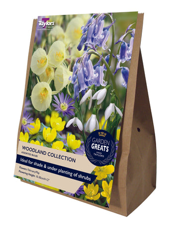 Taylors Taylors Narcissi Taylors Bulbs Woodland Collection