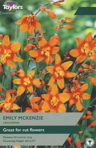 Taylors Flower Bulbs Taylors Crocosmia Emily Mckenzie