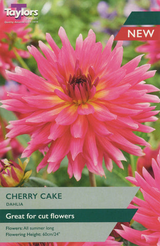 Taylors Flower Bulbs Taylors Dahlia Cherry Cake