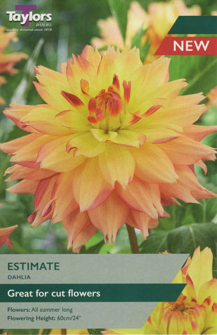 Taylors Flower Bulbs Taylors Dahlia Estimate
