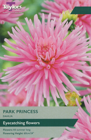 Taylors Flower Bulbs Taylors Dahlia Park Princess