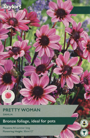 Taylors Flower Bulbs Taylors Dahlia Pretty Woman