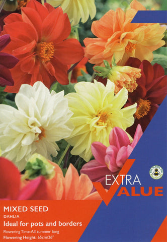 Taylors Flower Bulbs Taylors Dahlia Seed Mix