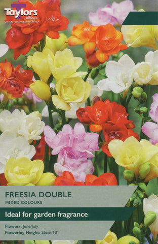 Taylors Flower Bulbs Taylors Freesia Double Mix