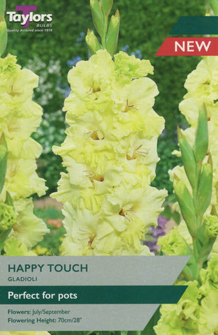 Taylors Flower Bulbs Taylors Gladioli Happy Touch