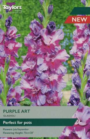 Taylors Flower Bulbs Taylors Gladioli Purple Art