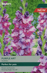 Taylors Flower Bulbs Taylors Gladioli Purple Art
