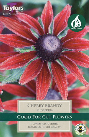 Taylors Flower Bulbs Taylors Rudbeckia Cherry Brandy