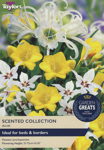 Taylors Flower Bulbs Taylors Scented Collection