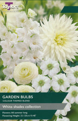 Taylors Flower Bulbs Taylors White Shades