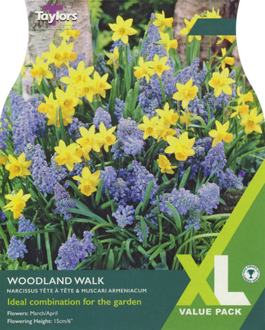 Taylors Taylors Allium Taylors Woodland Walk Collection