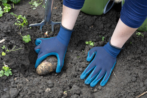 Town & Country Gardening Gloves Town & Country Eco Flex Finesse Navy Extra Small
