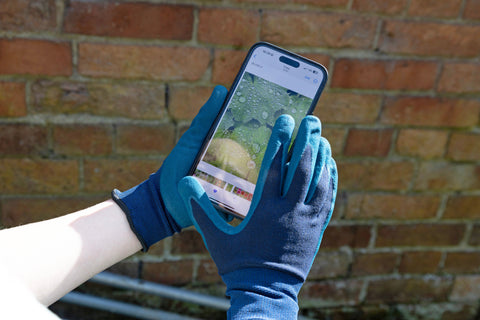 Town & Country Gardening Gloves Town & Country Eco Flex Finesse Navy Small