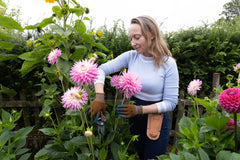 Town & Country Gardening Gloves Town & Country Eco Flex Pro Orange Small