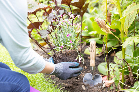 Town & Country Gardening Gloves Town & Country Eco Flex Ultra Charcoal Extra Large