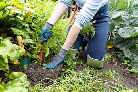 Town & Country Gardening Gloves Town & Country Eco Flex Ultra Charcoal Extra Large