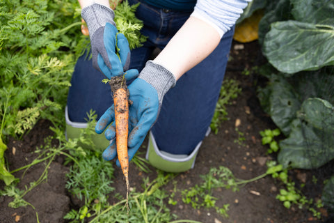 Town & Country Gardening Gloves Town & Country Eco Flex Ultra Charcoal Extra Large