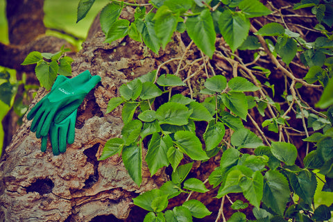 Town & Country Gardening Gloves Town & Country Master Gardener Green Gloves Medium