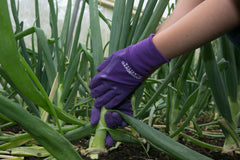 Town & Country Gardening Gloves Town & Country Master Gardener Purple Gloves Medium